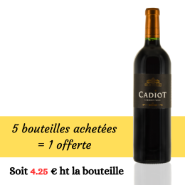 Cadiot Cabernet franc 2018 Rouge 5+1
