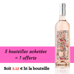 Péché coquin 2024 Rosé 5+1