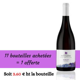Merlot 2023 Rouge 11+1