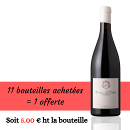 Eté à la Collière Rouge 2024 11+1