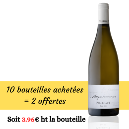 Ampélomeryx Blanc 2023 10+2