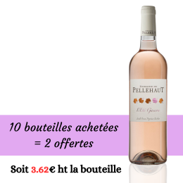 Eté Gascon 2024 Rosé 10+2