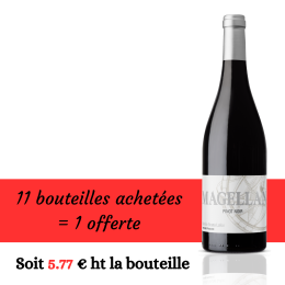 Pinot Noir 2025 Rouge 11+1