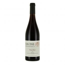 Racine Pinot noir 2022 Rouge