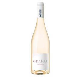 Odaïga Blanc 2024