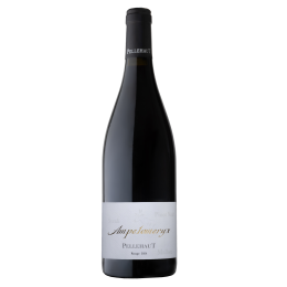 Ampélomeryx Rouge 2024